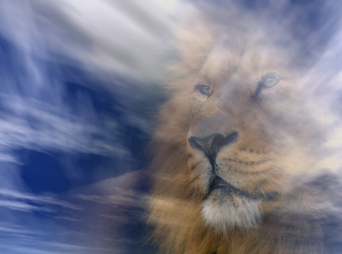Le lion de la tribu de Juda